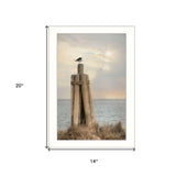 Birds Eye View 2 White Framed Print Wall Art - Homeroots - Flyclothing LLC