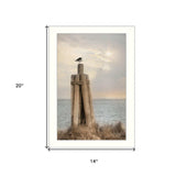 Birds Eye View 2 White Framed Print Wall Art - Homeroots - Flyclothing LLC
