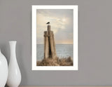 Birds Eye View 2 White Framed Print Wall Art - Homeroots - Flyclothing LLC
