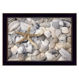 Starfish and Seashell 1 Black Framed Print Wall Art - Homeroots - Flyclothing LLC