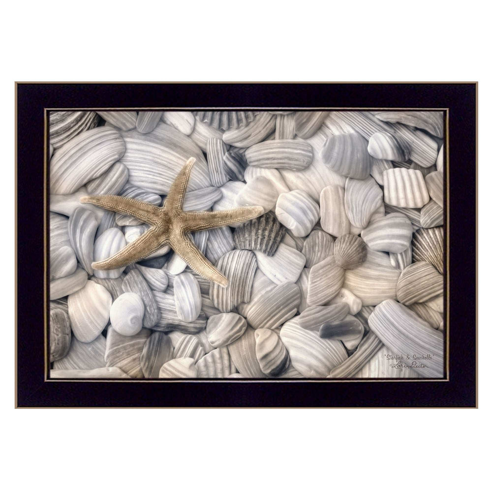 Starfish and Seashell 1 Black Framed Print Wall Art - Homeroots - Flyclothing LLC