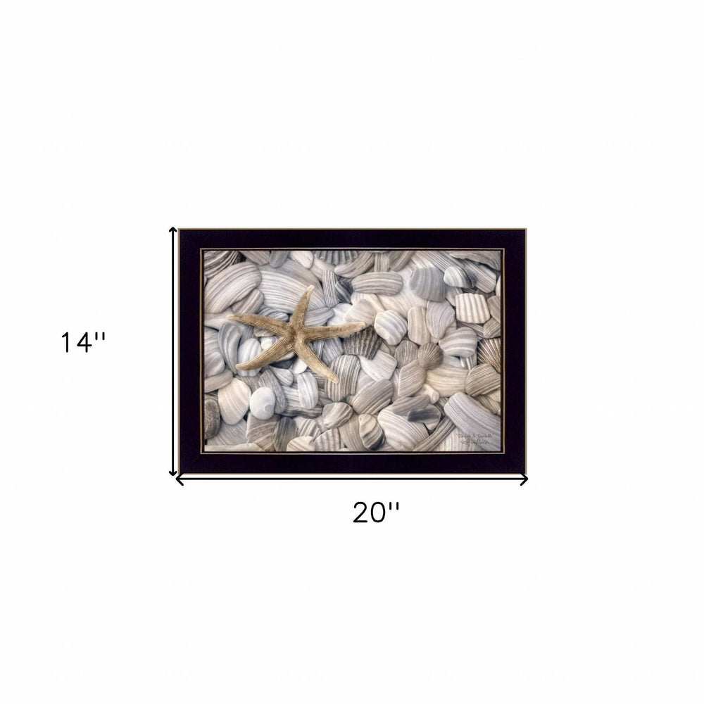 Starfish and Seashell 1 Black Framed Print Wall Art - Homeroots - Flyclothing LLC