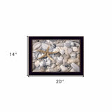 Starfish and Seashell 1 Black Framed Print Wall Art - Homeroots - Flyclothing LLC