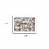 Starfish and Seashell 2 White Framed Print Wall Art - Homeroots - Flyclothing LLC