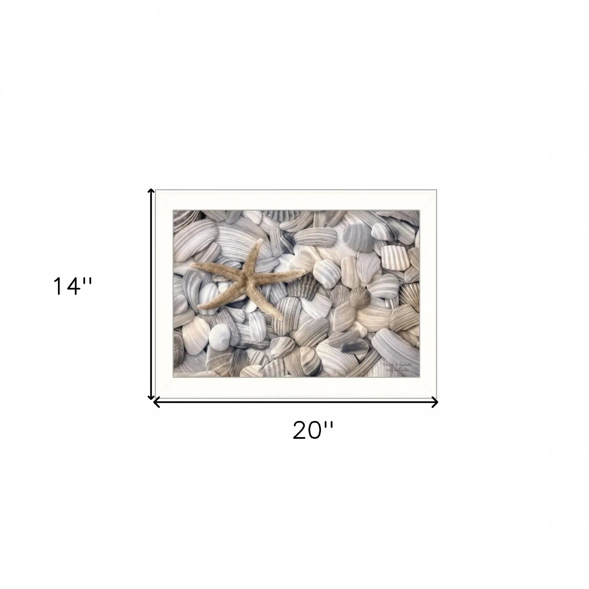 Starfish and Seashell 2 White Framed Print Wall Art - Homeroots - Flyclothing LLC