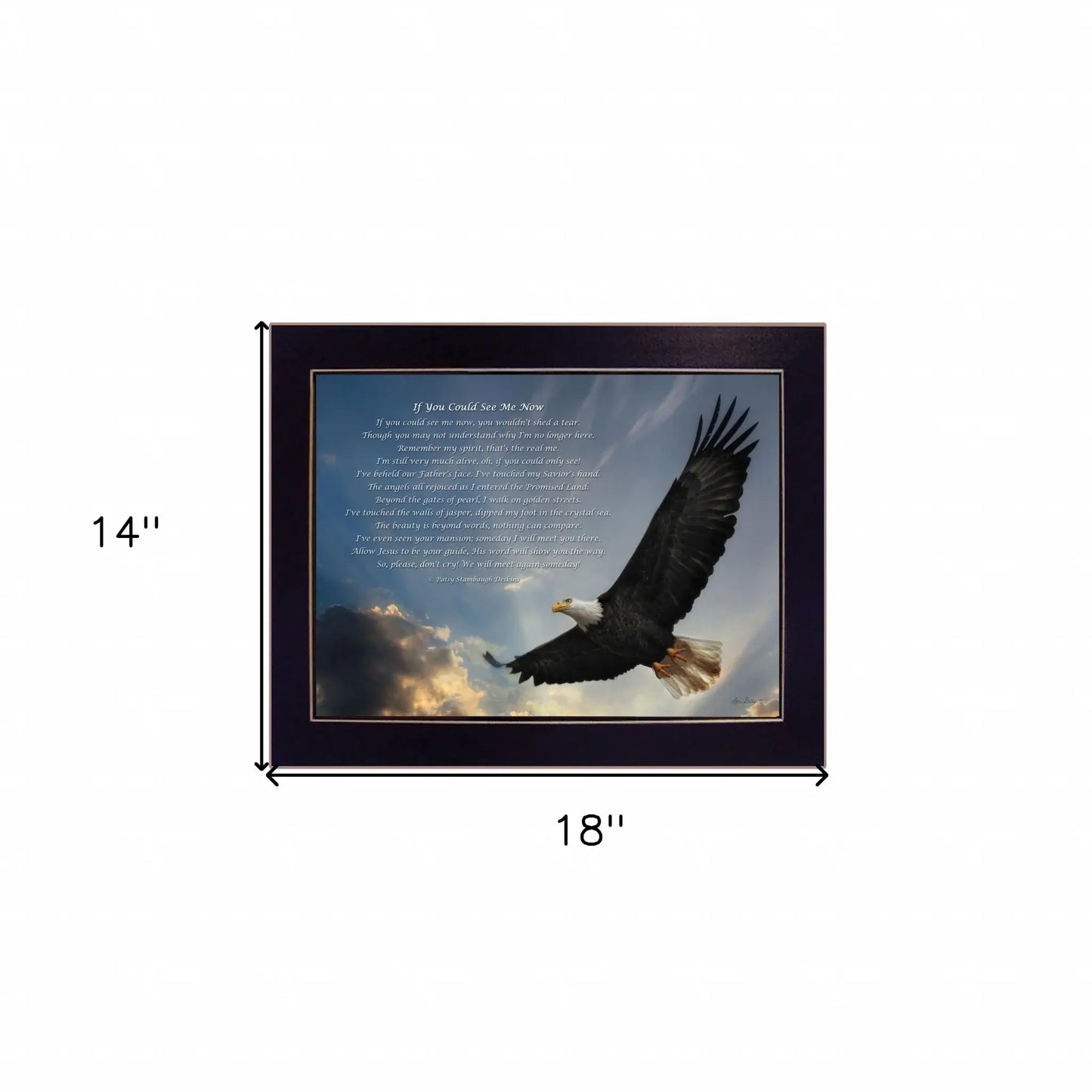 If You Could See Me Now 1 Black Framed Print Wall Art - Homeroots - Flyclothing LLC