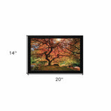 First Colors of Fall Black Framed Print Wall Art - Homeroots - Flyclothing LLC