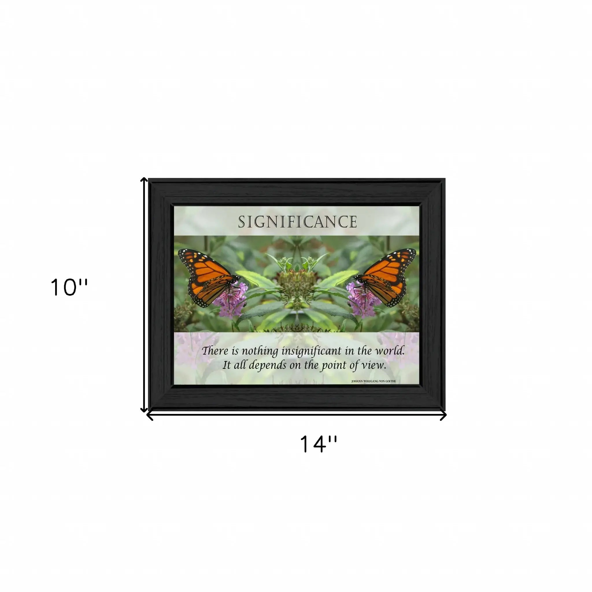 Significance 1 Black Framed Print Wall Art - Homeroots - Flyclothing LLC