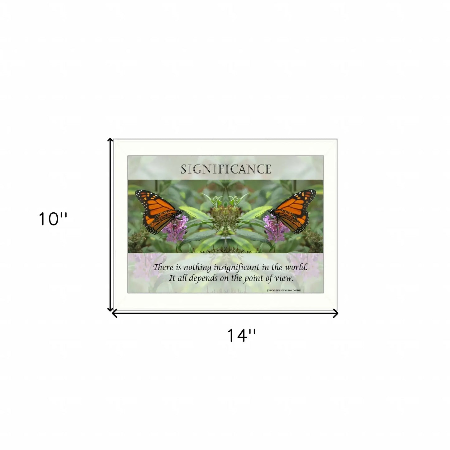 Significance 2 White Framed Print Wall Art - Homeroots - Flyclothing LLC
