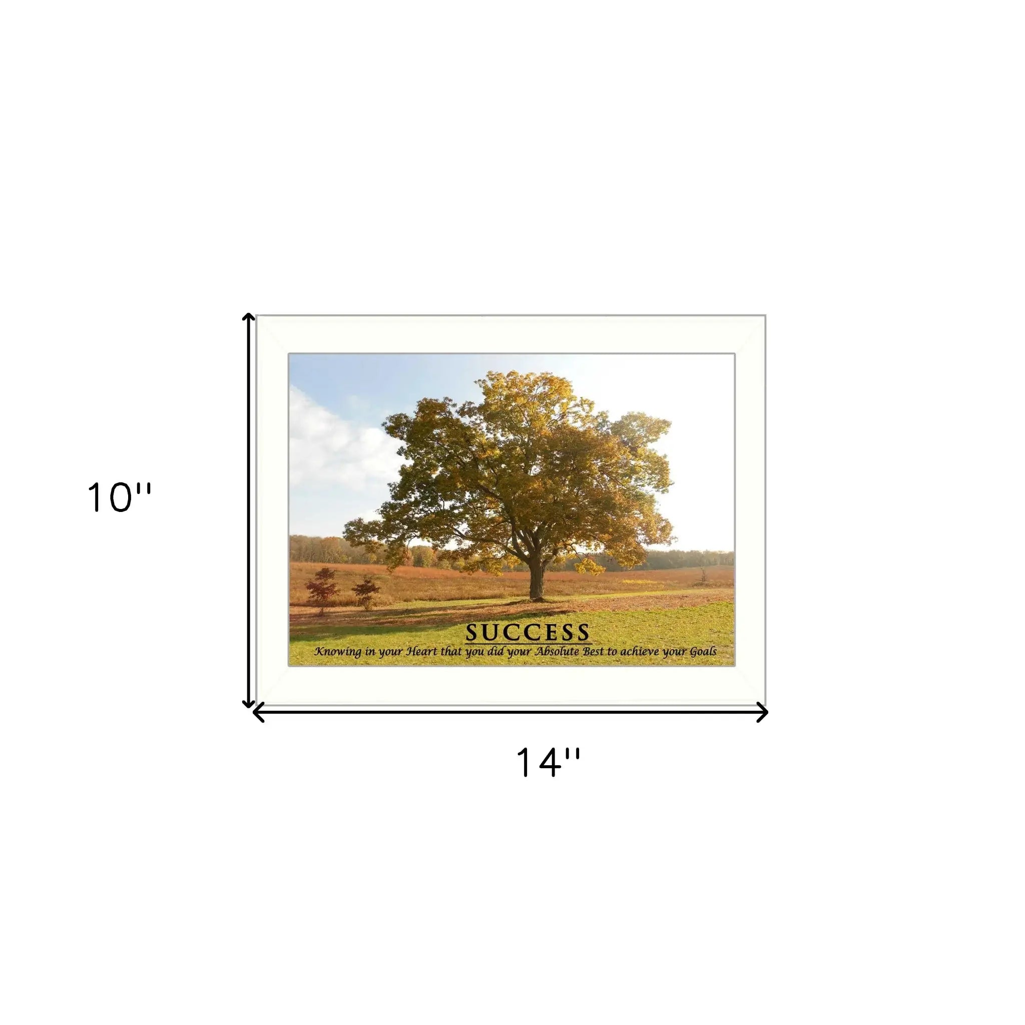 Success 2 White Framed Print Wall Art - Homeroots - Flyclothing LLC