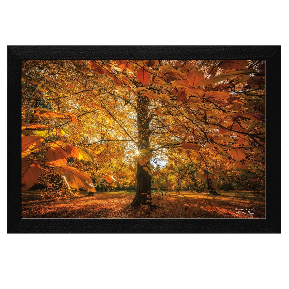 Autumn Leaves 4 Black Framed Print Wall Art - Homeroots - Flyclothing LLC