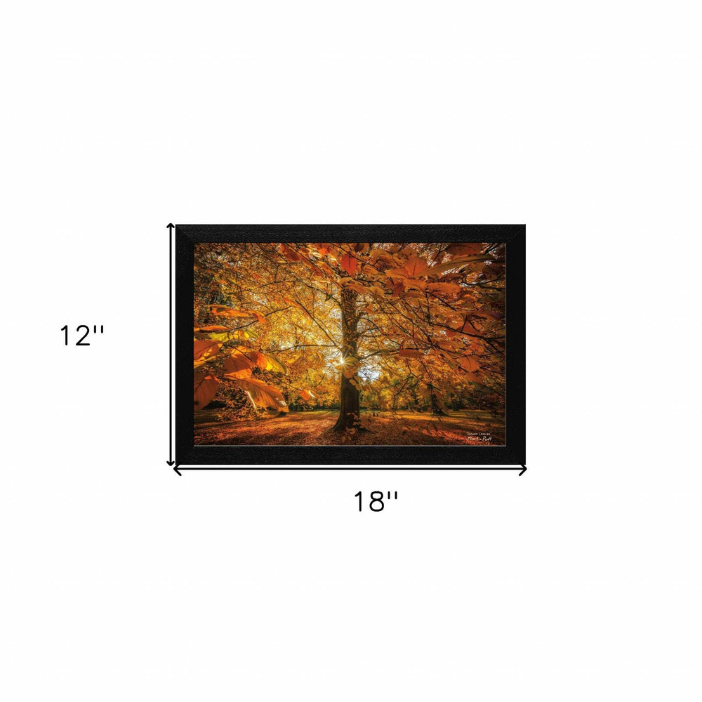 Autumn Leaves 4 Black Framed Print Wall Art - Homeroots - Flyclothing LLC