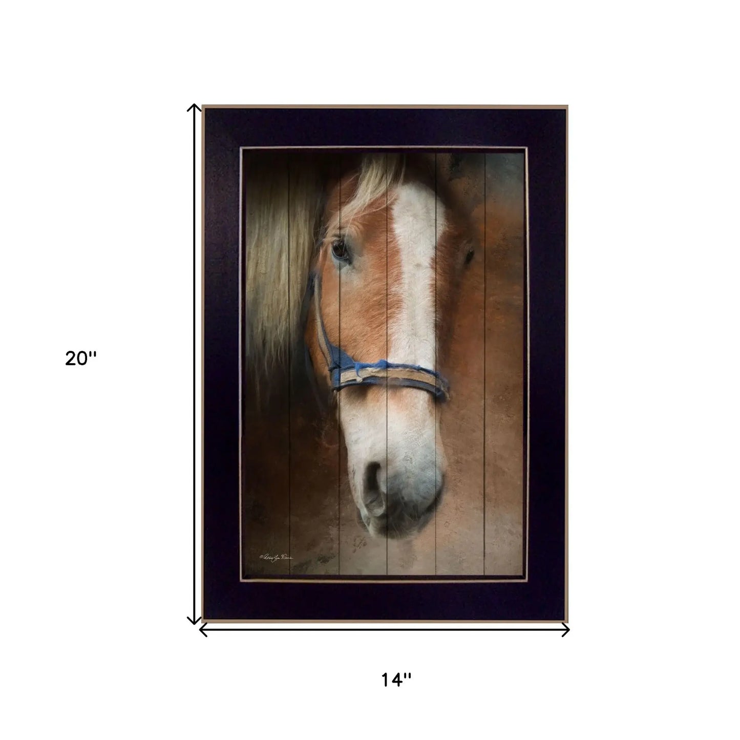 Blaze Black Framed Print Wall Art - Homeroots - Flyclothing LLC