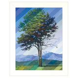 Catching Light as Time Passes 1 White Framed Print Wall Art - Homeroots - Flyclothing LLC