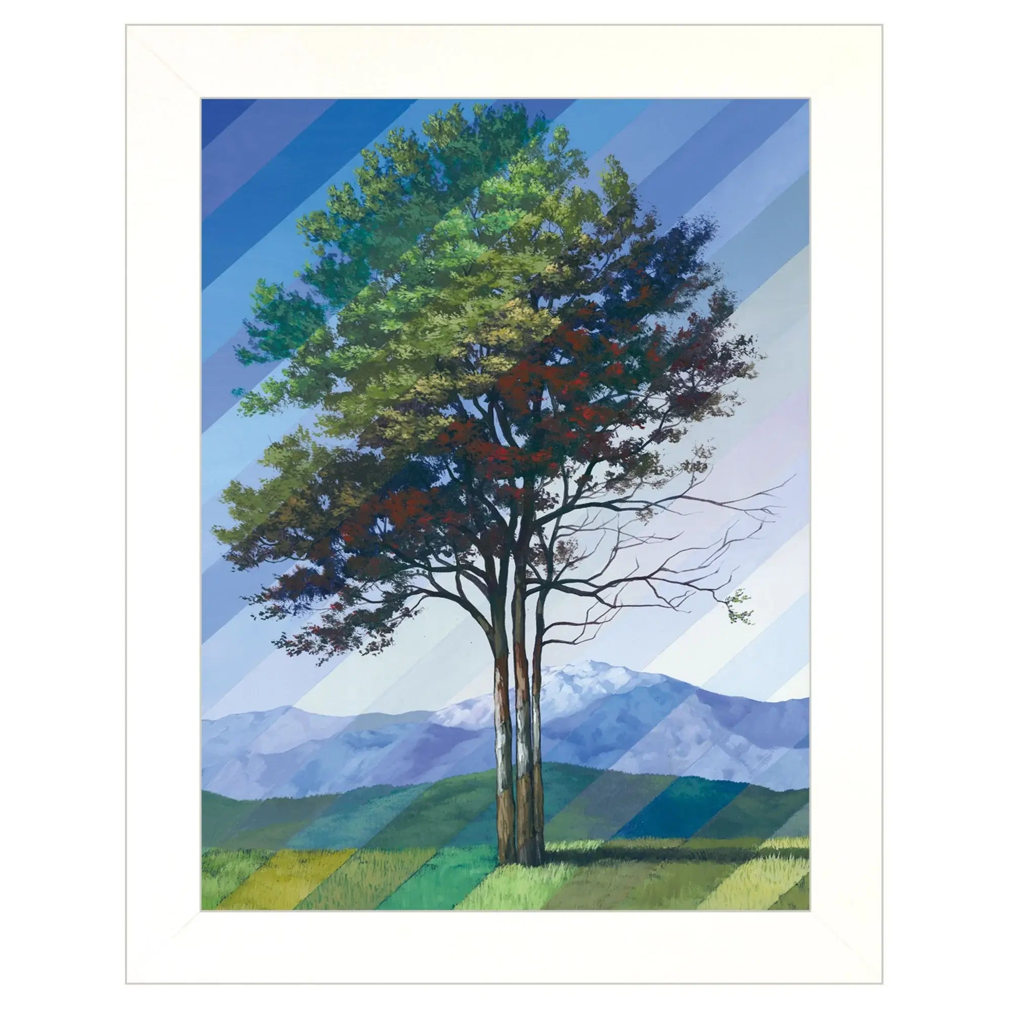 Catching Light as Time Passes 1 White Framed Print Wall Art - Homeroots - Flyclothing LLC