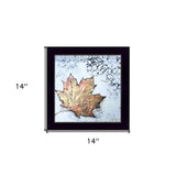 Channeling Fall 1 Black Framed Print Wall Art - Homeroots - Flyclothing LLC