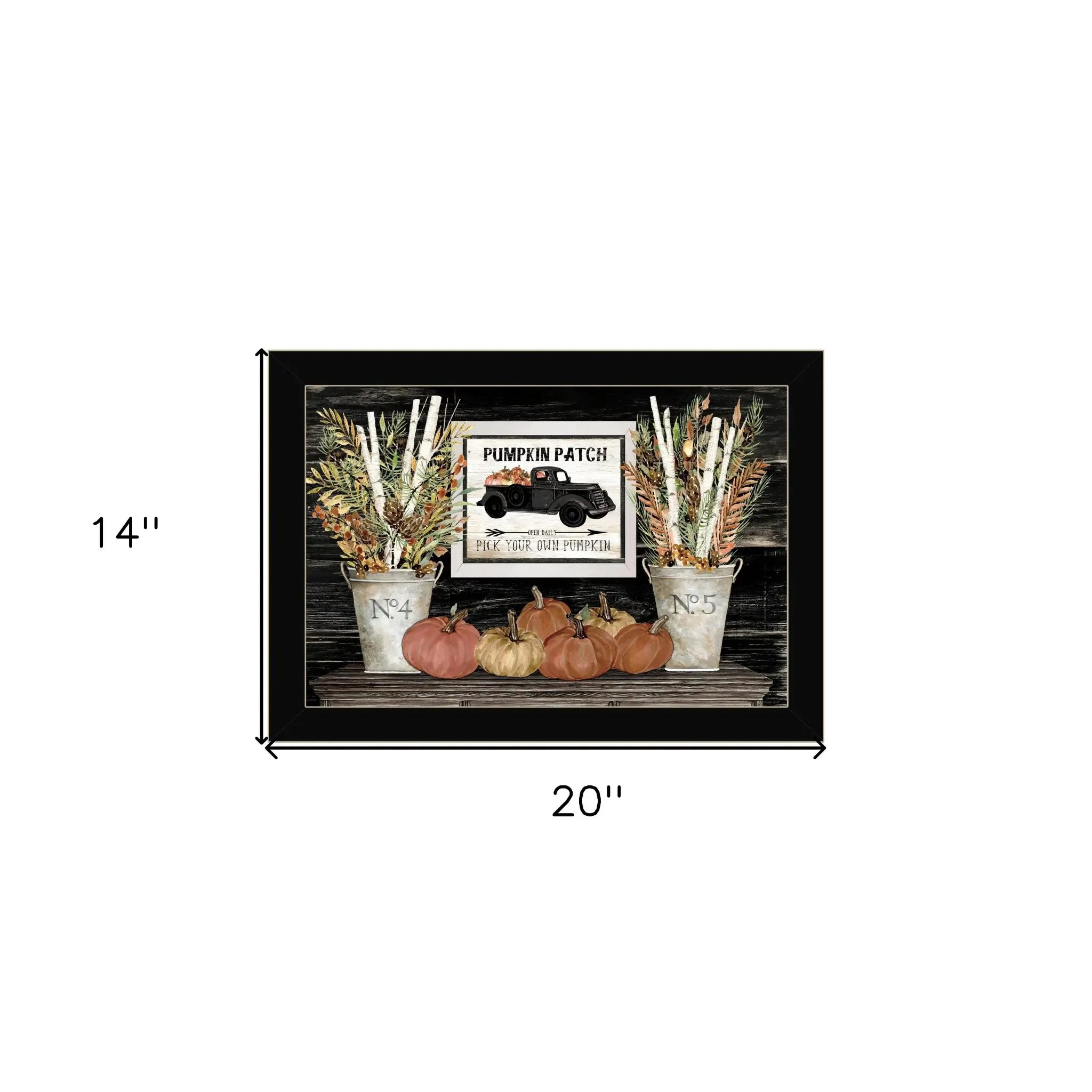 Pumpkin Patch Still Life 1 Black Framed Print Wall Art - Homeroots - Flyclothing LLC