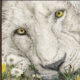 Dandy Lion 1 Black Framed Print Wall Art - Homeroots