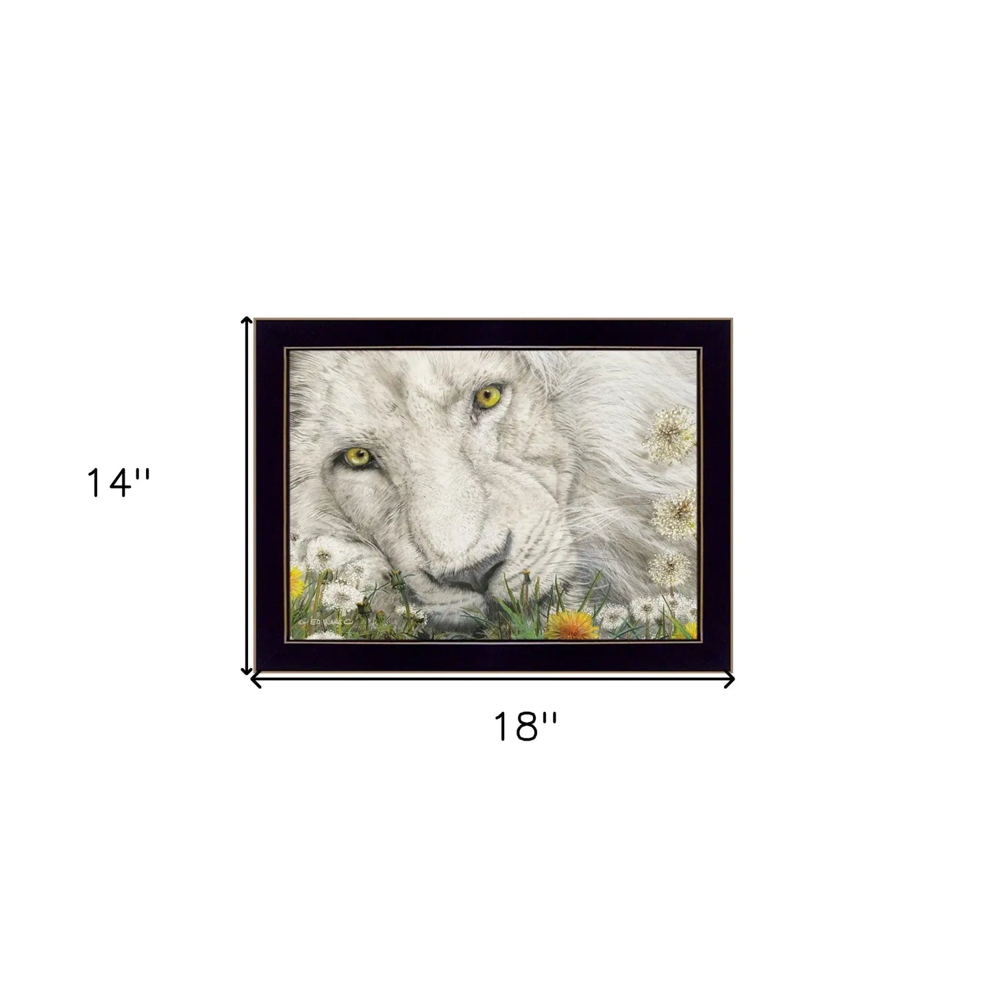 Dandy Lion 1 Black Framed Print Wall Art - Homeroots - Flyclothing LLC