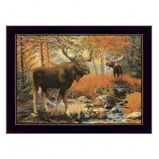 Call of the Wild 1 Black Framed Print Wall Art - Homeroots - Flyclothing LLC