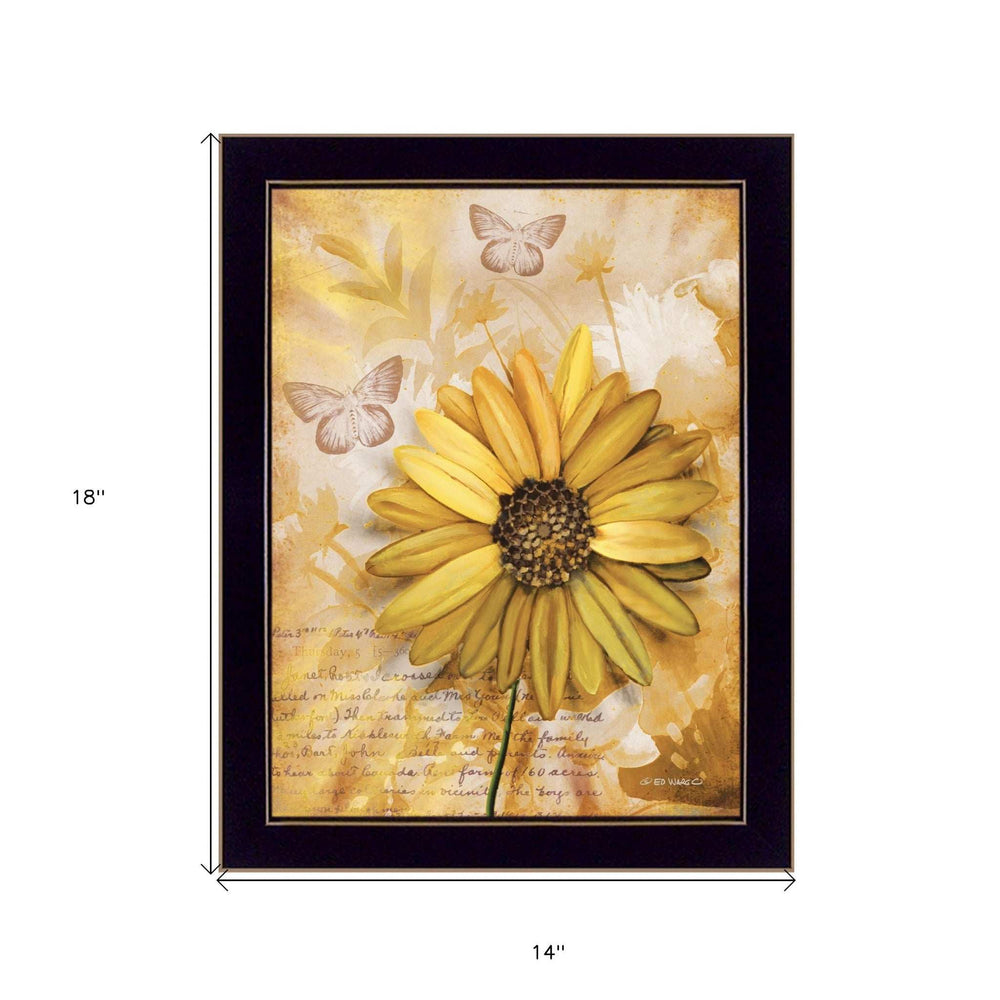 Flowers and Butterflies II 1 Black Framed Print Wall Art - Homeroots - Flyclothing LLC