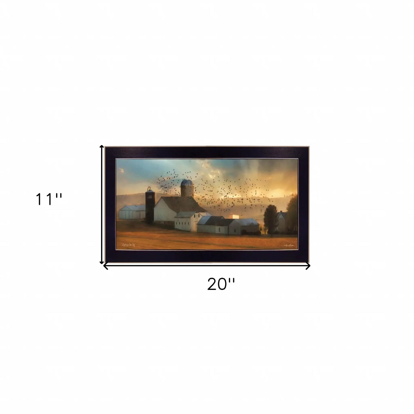 Light of a New Day 1 Black Framed Print Wall Art - Homeroots - Flyclothing LLC