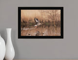 Fly Away 3 Black Framed Print Wall Art - Homeroots