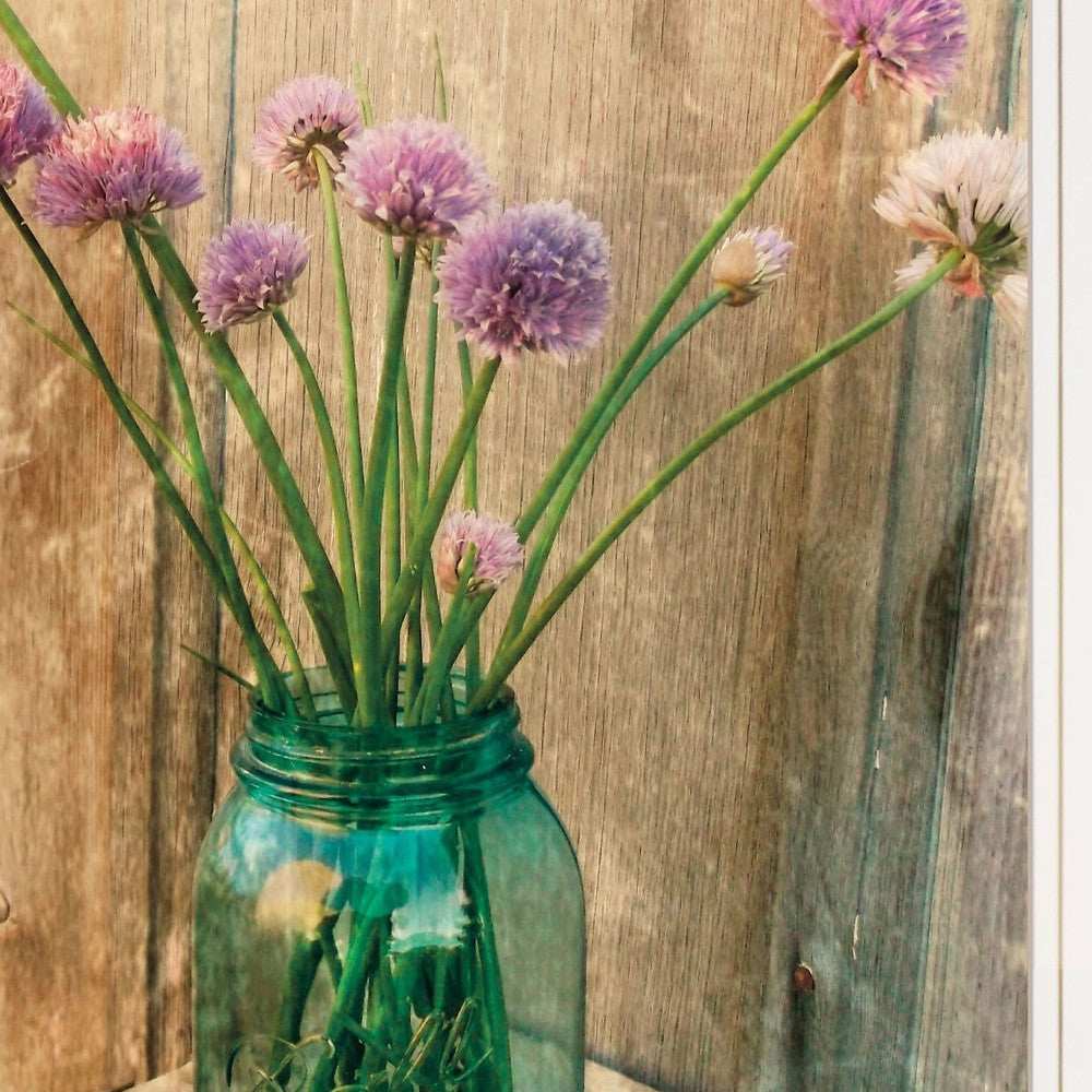Country Chives 1 White Framed Print Wall Art - Homeroots - Flyclothing LLC