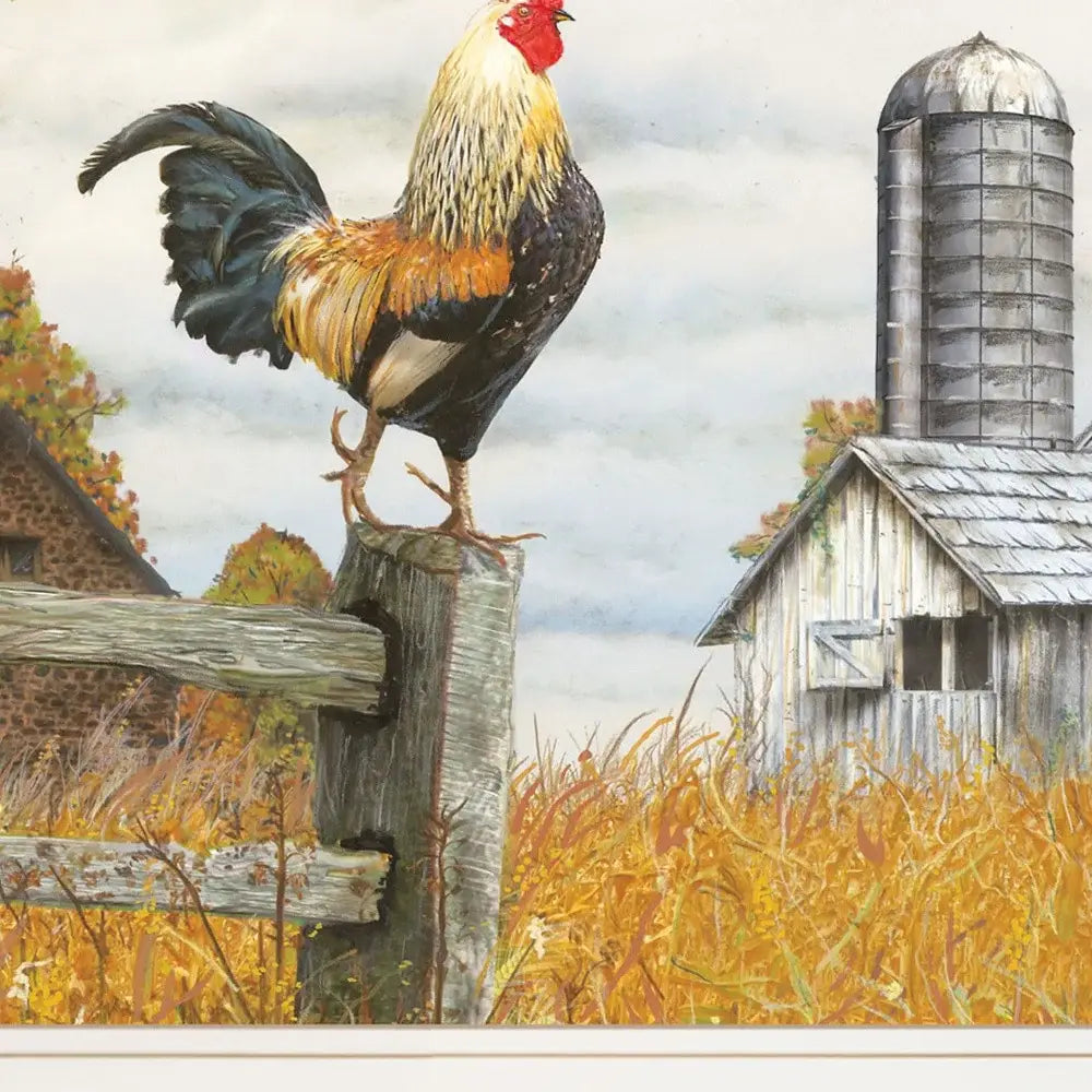 Down on the Farm II White Framed Print Wall Art - Homeroots - Flyclothing LLC