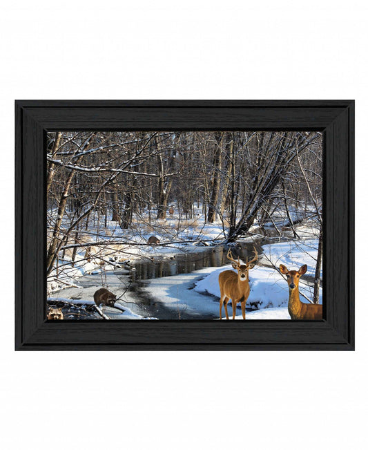 Great Outdoors Nature 1 Black Framed Print Wall Art - Homeroots - Flyclothing LLC