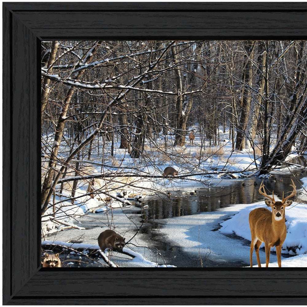 Great Outdoors Nature 1 Black Framed Print Wall Art - Homeroots - Flyclothing LLC