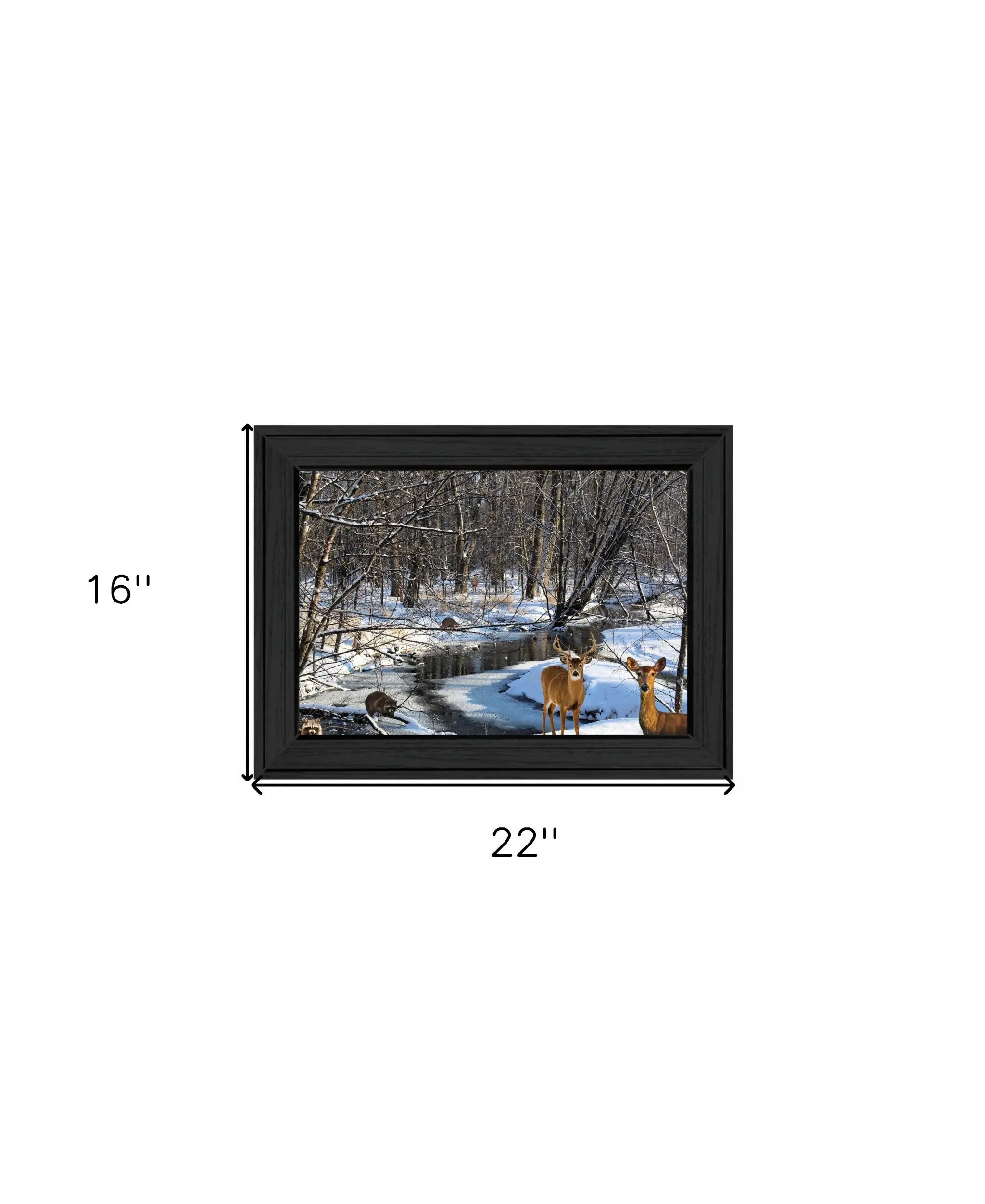Great Outdoors Nature 1 Black Framed Print Wall Art - Homeroots - Flyclothing LLC