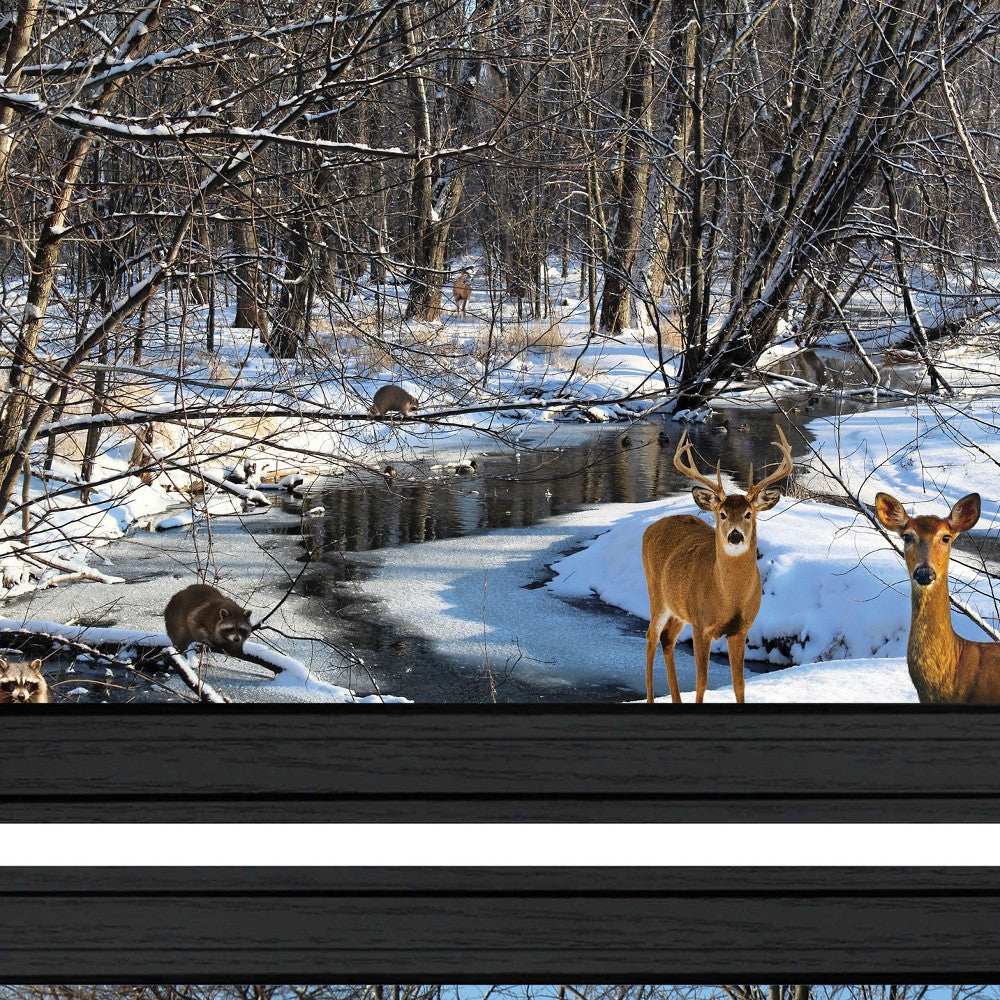 Set Of Two Great Outdoors Nature or Winter Forest 3 Black Framed Print Wall Art - Homeroots - Flyclothing LLC