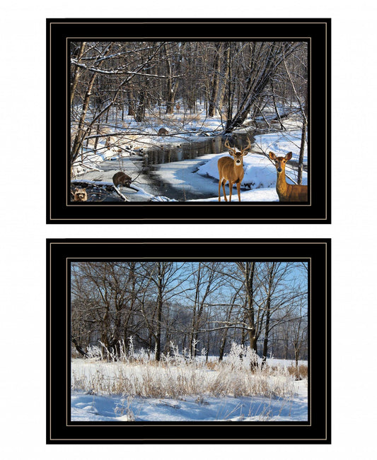 Set Of Two Great Outdoors Nature or Winter Forest 4 Black Framed Print Wall Art - Homeroots - Flyclothing LLC