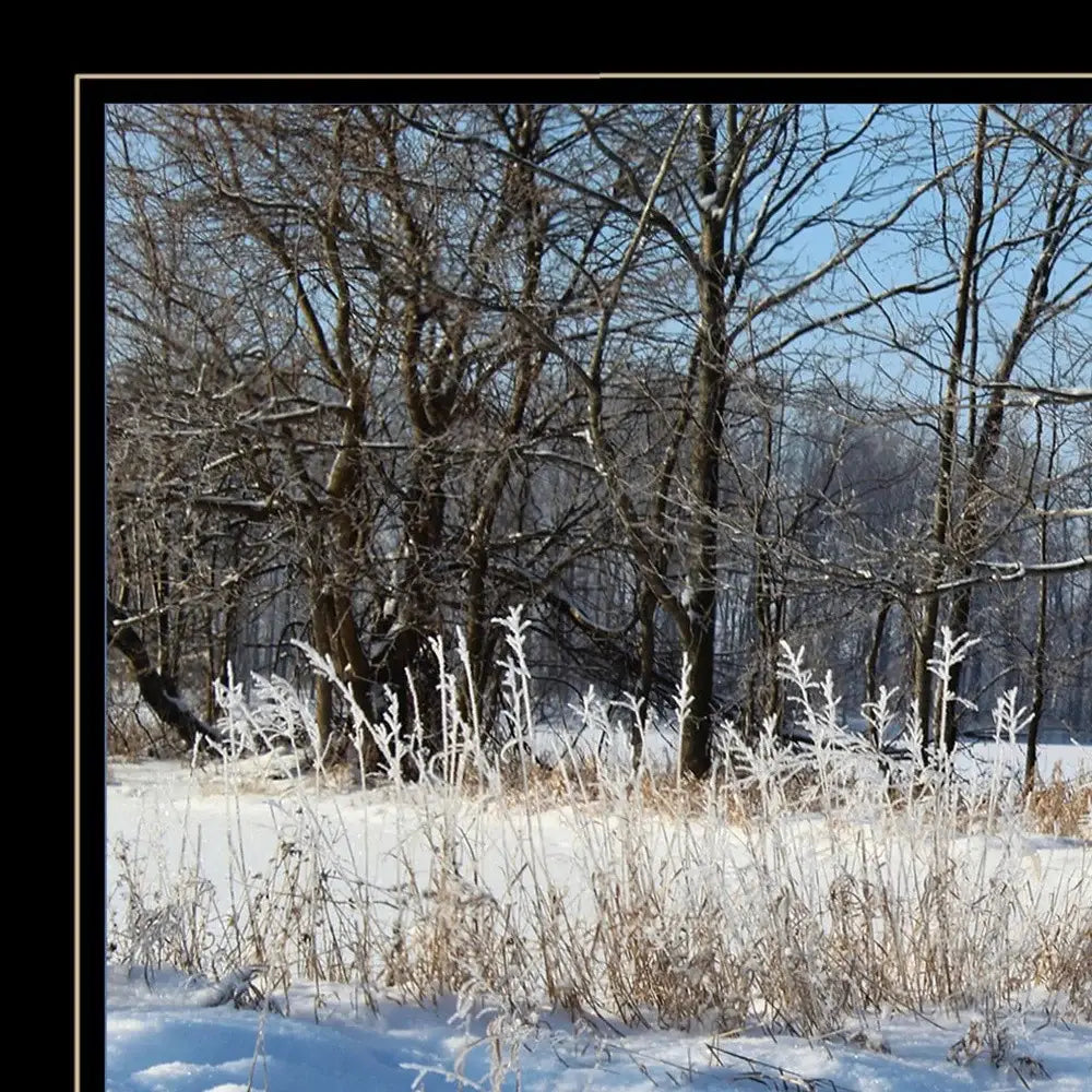 Set Of Two Great Outdoors Nature or Winter Forest 4 Black Framed Print Wall Art - Homeroots - Flyclothing LLC