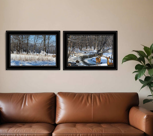 Set Of Two Great Outdoors Nature or Winter Forest 4 Black Framed Print Wall Art - Homeroots - Flyclothing LLC