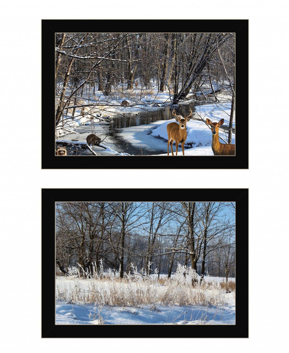 Set Of Two Great Outdoors Nature or Winter Forest 1 Black Framed Print Wall Art - Homeroots - Flyclothing LLC