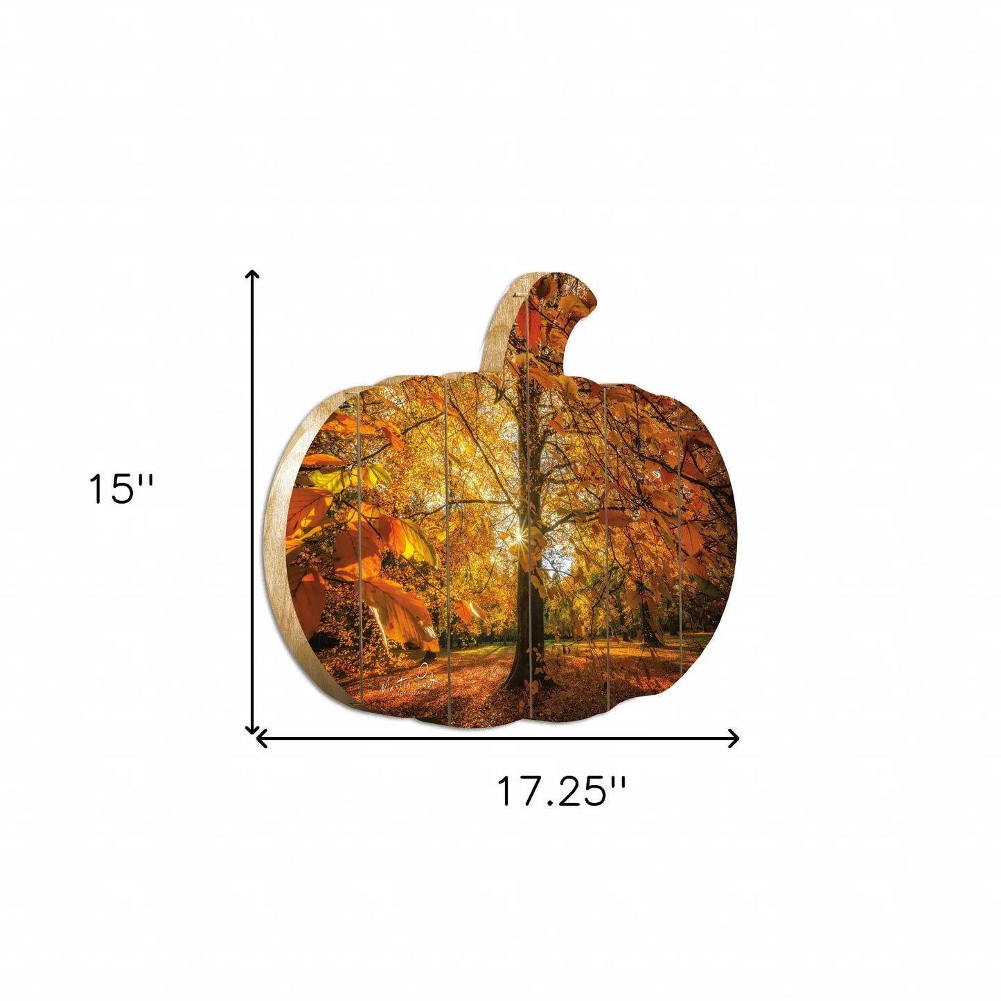 Autumn Leaves Unframed Print Wall Art - Homeroots - Flyclothing LLC