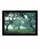 Enchanted Forest II 1 Black Framed Print Wall Art - Homeroots