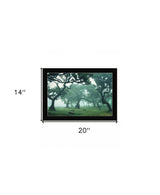 Enchanted Forest II 1 Black Framed Print Wall Art - Homeroots - Flyclothing LLC