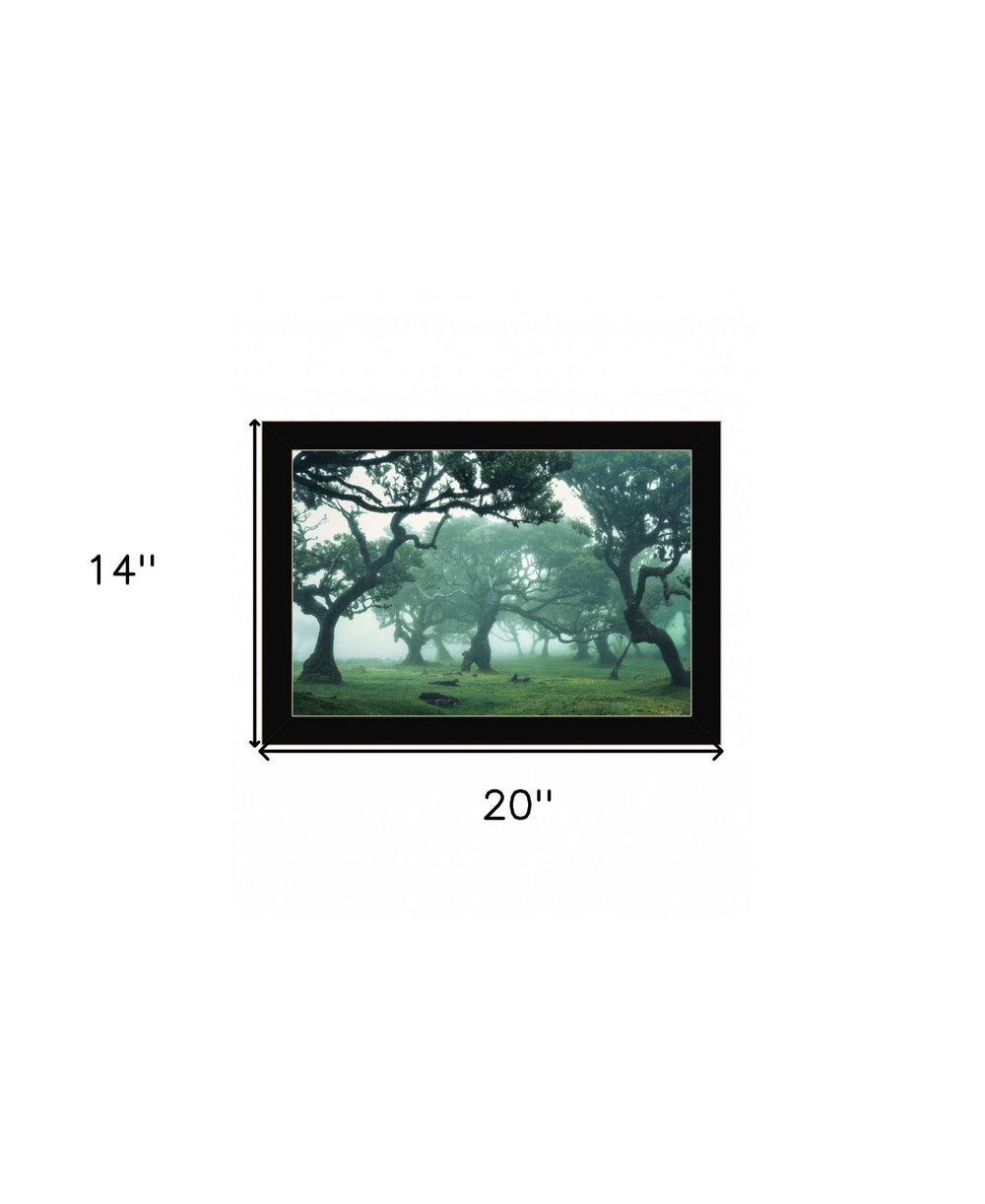 Enchanted Forest II 1 Black Framed Print Wall Art - Homeroots - Flyclothing LLC