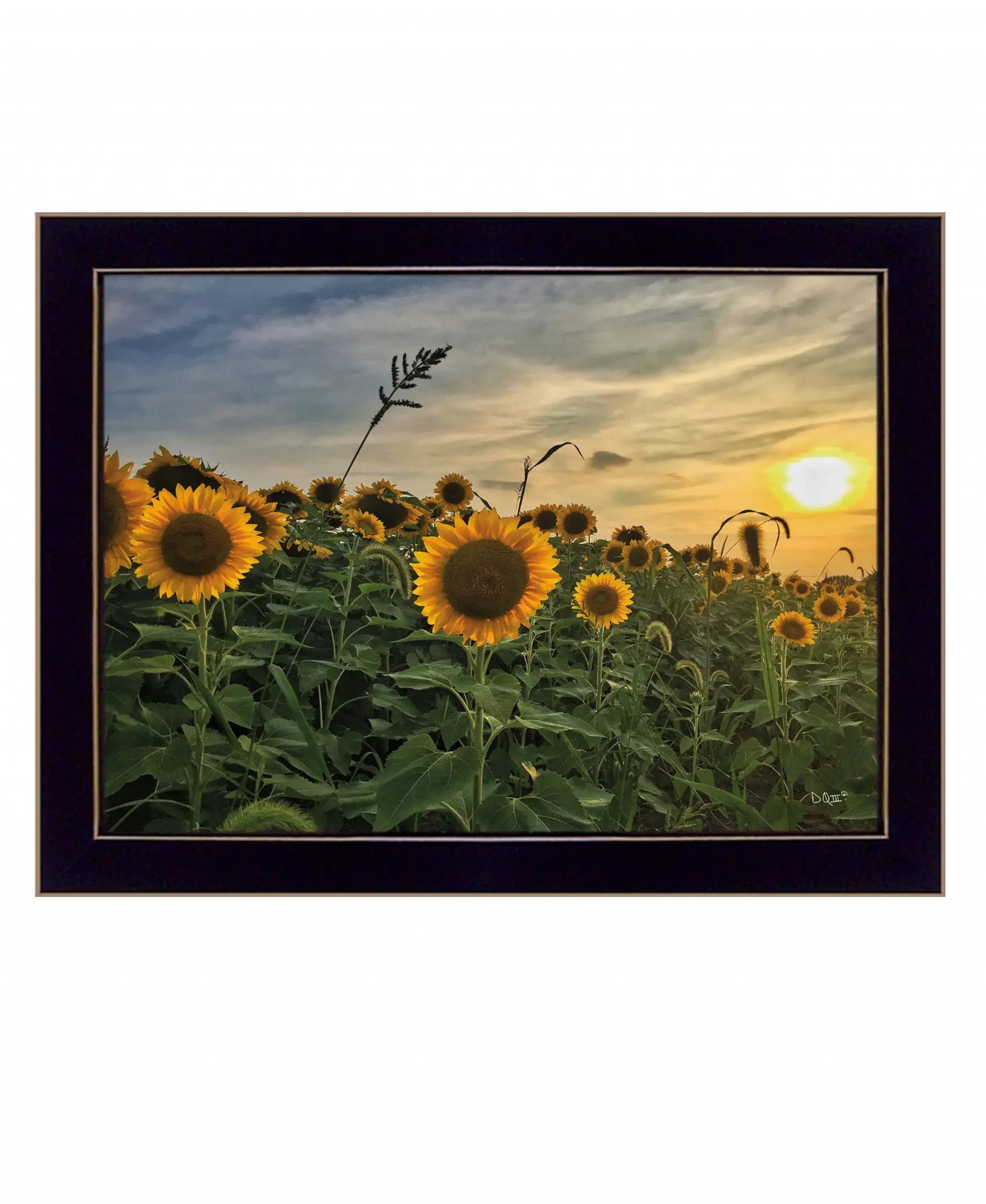 Midwest Living I Black Framed Print Wall Art - Homeroots - Flyclothing LLC