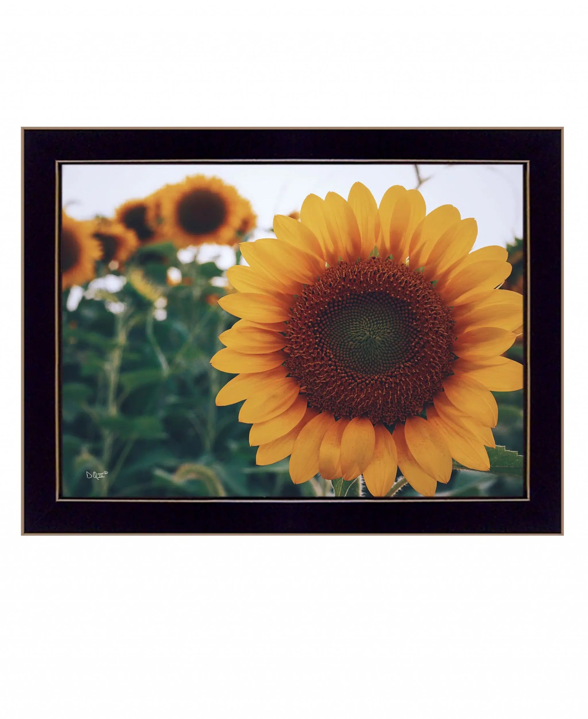 Midwest Livin II 1 Black Framed Print Wall Art - Homeroots - Flyclothing LLC