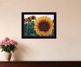 Midwest Livin II 1 Black Framed Print Wall Art - Homeroots - Flyclothing LLC