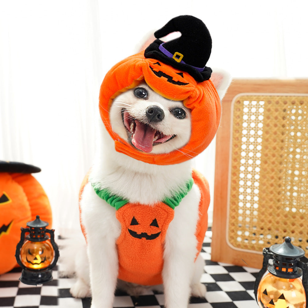 Halloween Pumpkin Vest For Dogs Cats Festive Pet Costume Harness Funny Thanksgiving Christmas Apparel For Small Animals Clothing - My Store - Flyclothing LLC