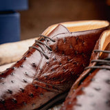 43-594-BRN MARCO Ostrich Quill Chukka Boot, Brown - Zelli Italia - Flyclothing LLC