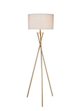 Minimalist Gold Metal Floor Lamp - Homeroots