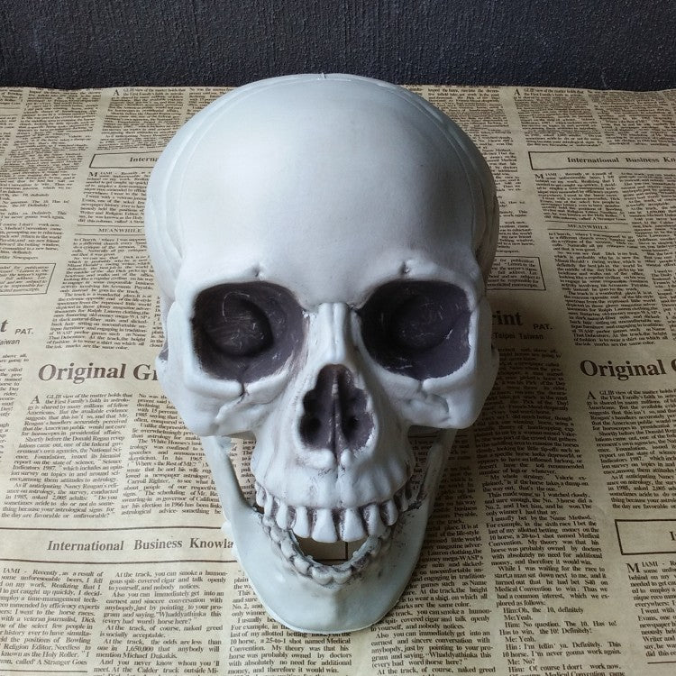 Halloween Decoration Artificial Skull - My Store - Flyclothing LLC