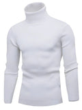 Men's Turtleneck Long Sleeve Ribbed Sweater - Trendsi