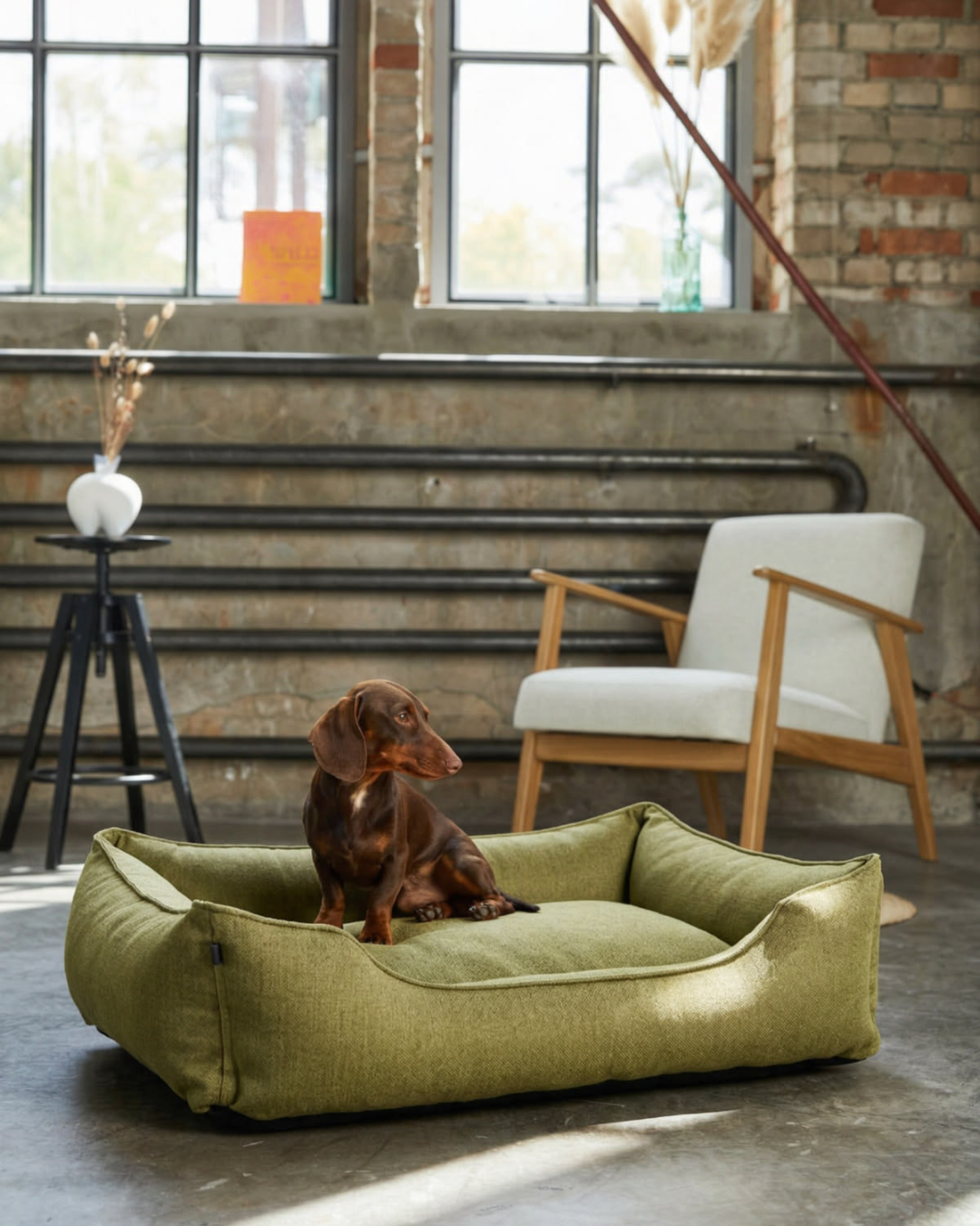 Chester & Lee | Cotton Sleeper Dog Bed Olive - Chester & Lee - Flyclothing LLC